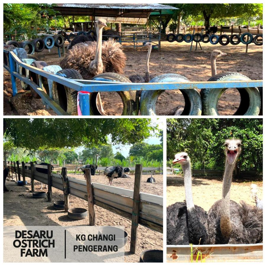 Desaru, Bayu Balau Beach Resort Bandar Penawar Экстерьер фото